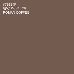 #735B4F - Roman Coffee Color Image